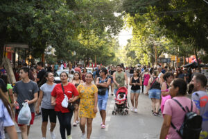 paseo-de-compras-en-la-ciudad